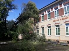 MALTEMPO - Ad Agliè la situazione peggiore: albero si abbatte sulla scuola elementare