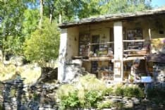 TRAVERSELLA - La biblioteca del lupo nei boschi della Valchiusella