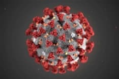 COVID IN CANAVESE - Sono 205 i ricoverati covid negli ospedali di Ivrea, Chivasso, Ciriè, Cuorgnè e Lanzo - I DATI