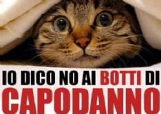 RIVAROLO - Niente botti a capodanno: ordinanza del sindaco Rostagno