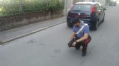 NEONATO ABBANDONATO MUORE IN STRADA - Caccia ai genitori in tutti gli ospedali della zona