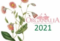 EVENTI - Organalia 2021, la musica degli organi nei luoghi sacri
