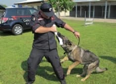 VOLPIANO - Il cane Quark fiuta l'oppio e fa arrestare una donna