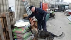 VOLPIANO - Il cane Quark trova la droga tra pane e farina - FOTO