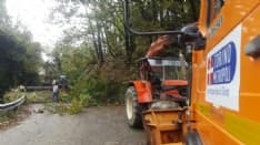 MALTEMPO IN CANAVESE - Dopo la grande paura, la Valle Soana conta i danni della tromba d'aria