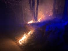 CASTELLAMONTE - Boschi secchi, scatta l'allarme incendi: nella notte provvidenziale intervento di vigili del fuoco e Aib - FOTO