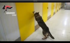 CRONACA - I carabinieri scoprono un tesoro da 1.3 milioni di euro