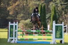 ALMANACCO 2015 - Cosa è successo a Marzo e Aprile