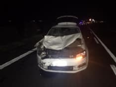 BAIRO - Incidente nel cuore della notte sulla Pedemontana: auto travolge una mucca - FOTO