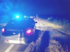 RIVAROLO-BOSCONERO - Cinghiale investito: tre auto danneggiate