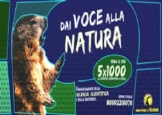 PARCO GRAN PARADISO - Dai voce alla Natura, dona il 5x1000 alla ricerca del Parco - VIDEO
