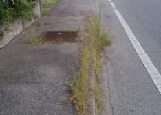 CASTELLAMONTE - Erba alta sui marciapiedi: Mazza va all'attacco