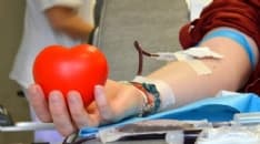 CUORGNE' - Avis, tutto pronto per la Festa sociale: 162 donazioni di sangue intero in 11 mesi