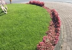 BOLLENGO - Ancora vandali in azione, devastati i fiori della rotonda dell'Allaas