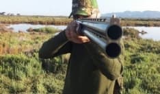 ALLERTA LUPI - Legambiente: «Sparare al lupo? Soluzione di pancia, priva di fondamenti scientifici e dannosa»