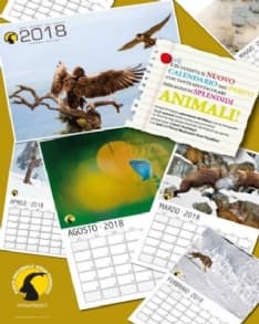 PARCO GRAN PARADISO - Disponibile il calendario 2018 del Parco