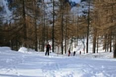 VALPRATO - Si scia a Piamprato grazie ai giovani di Pianeta Neve
