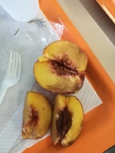 CARCERI - Cibo marcio nelle mense della polizia penitenziaria