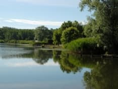 CANDIA - 700 ragazzi coinvolti nel progetto «Pro.Muovi»