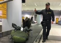 CASELLE - Il cane Escos ha recuperato 3 milioni e mezzo di euro