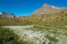 CERESOLE REALE - Il Parco Nazionale del Gran Paradiso ottiene la Carta europea del turismo sostenibile