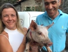 BORGOFRANCO D'IVREA - Ladri senza cuore rubano anche la maialina domestica malata: appello per ritrovarla