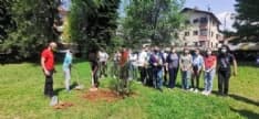 FAVRIA - Gli studenti mettono a dimora nuovi alberi - FOTO