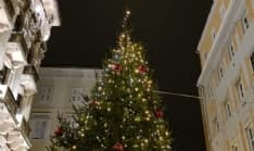 IVREA - Luci d'artista in città, un albero di Natale speciale per celebrare il centenario di Italo Calvino