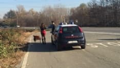 FRONT-LOMBARDORE - Carabinieri sui pullman Gtt per fermare le prostitute dirette in Canavese - FOTO