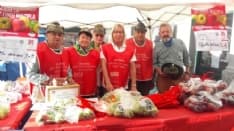 CUORGNE' - Mele solidali: 2300 euro raccolti per la ricerca sulla sclerosi multipla