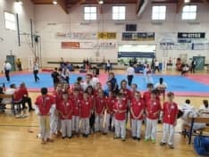TAEKWONDO - Esordio stagionale col botto per la Taekwondo Canavese alla Champion Kids 2019