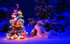 CANAVESE - Tutte le feste di Natale minuto per minuto