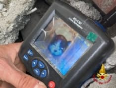 CIRIE' - Gatto incastrato in un tubo: salvato dai vigili del fuoco - FOTO