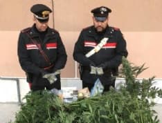 CANAVESE - Spaccio di droga: un arresto e tre denunce a Vistrorio, Busano, Nomaglio e Banchette - VIDEO