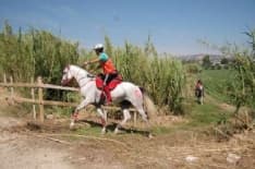 ENDURANCE - Il Canavese ospita la prima prova regionale di specialità