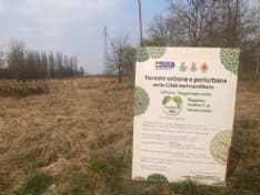 MAPPANO - Iniziata la piantumazione di 2475 alberi e 1237 arbusti