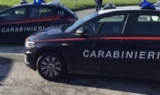 VOLPIANO - Operazione anti 'ndrangheta: chiusa una palestra - VIDEO