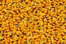 SOLIDARIETA' - La gara delle paperelle in plastica