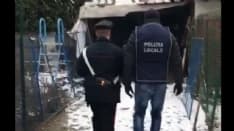 ORRORE - Un cavallo mutilato e ucciso: proprietario denunciato dai carabinieri di Leini