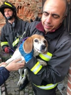 AGLIÈ - Cane cade nel tombino e rimane incastrato: salvato dai vigili del fuoco - FOTO E VIDEO