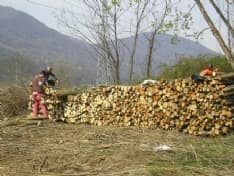 CUORGNE' - La legna recuperata dall'Orco destinata ai poveri