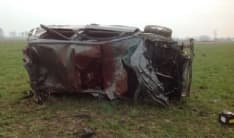 BOSCONERO-RIVAROLO - Incidente sulla 460: investiti e uccisi un cavallo e una pecora - VIDEO