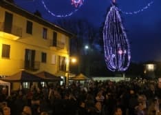 RIVARA - L'albero di Natale vivente più alto d'Europa è in Canavese