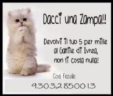 GATTI E CANI - Il 5 per 1000 alle associazioni del Canavese