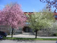 CALUSO - Esame di Stato: ottimi risultati per gli studenti del Martinetti