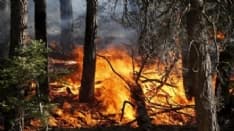 CANAVESE - Siccità e caldo record, allerta incendi: la Regione vara lo stato di massima pericolosità