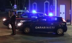 BORGIALLO-CASTELLAMONTE - Uccidono un capriolo vicino alle case: denunciati dai carabinieri