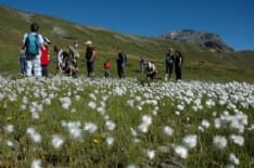 TURISMO - Il Gran Paradiso al secondo posto tra i Parchi più richiesti dai tour operator
