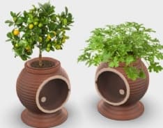 GREEN - Il frigorifero a cui non serve la corrente