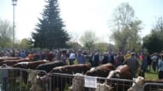 FAVRIA - Comincia stasera la tre giorni della 42esima Fiera di Sant'Isidoro